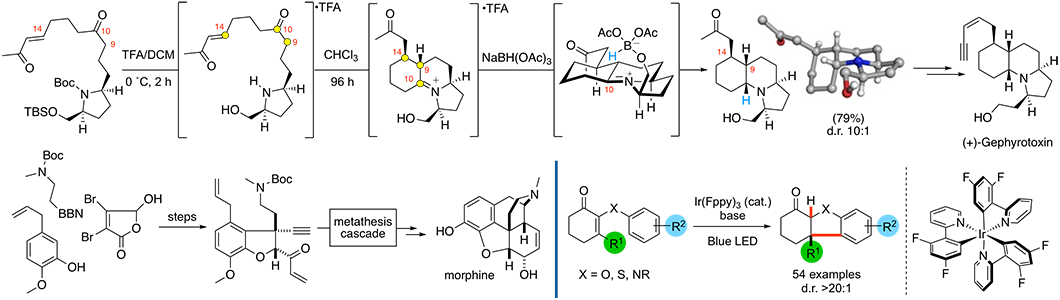 Illustration of Martin Smith's research into total synthesis of natural products